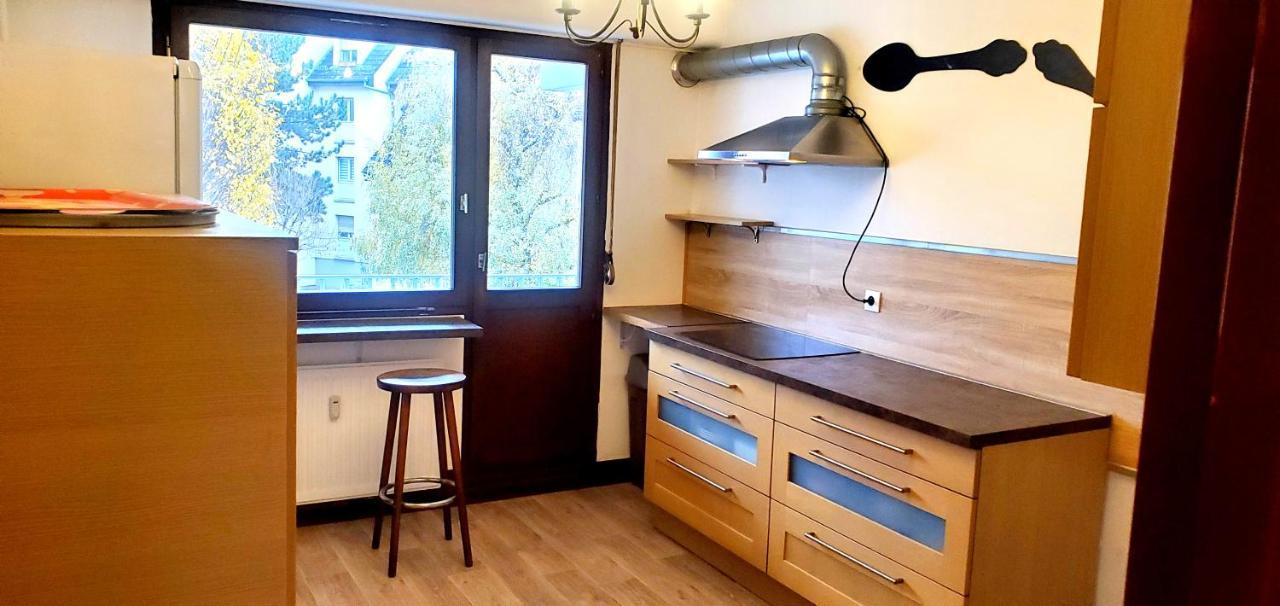 Le Hameau Du Bouleau Apartment สตราสบูร์ก ภายนอก รูปภาพ